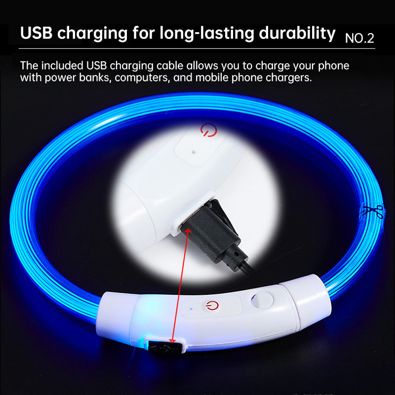 LED Dog Collar for Night Visibility, USB Rechargeable