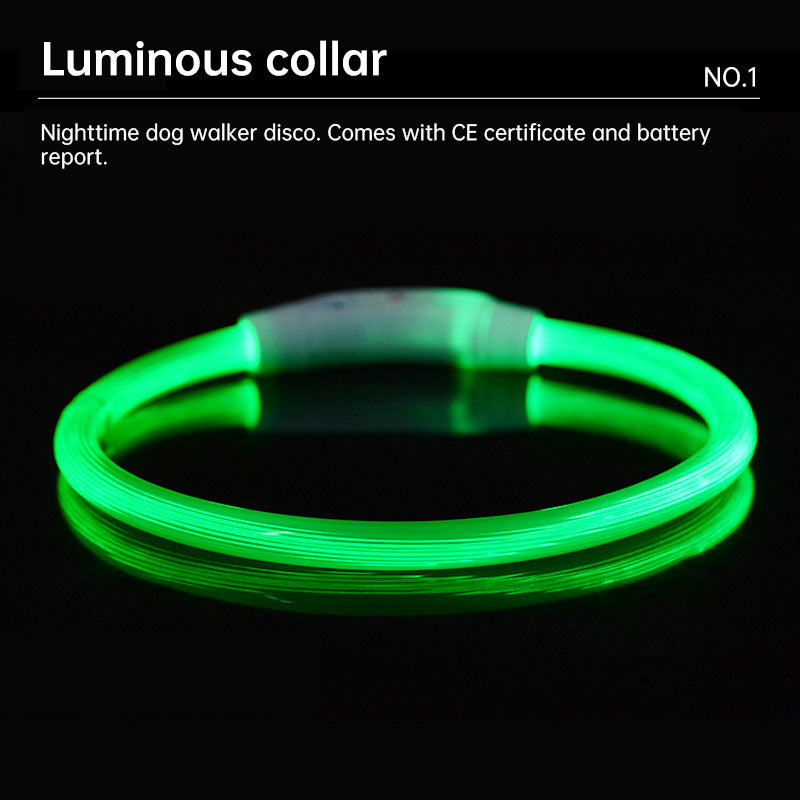 LED Dog Collar for Night Visibility, USB Rechargeable
