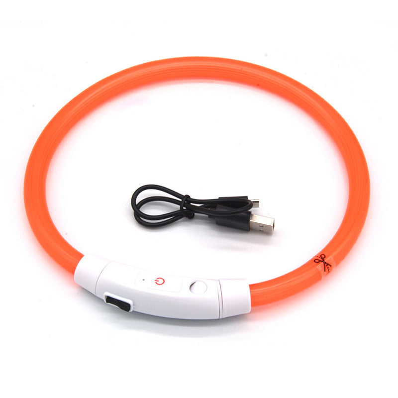 LED Dog Collar for Night Visibility, USB Rechargeable