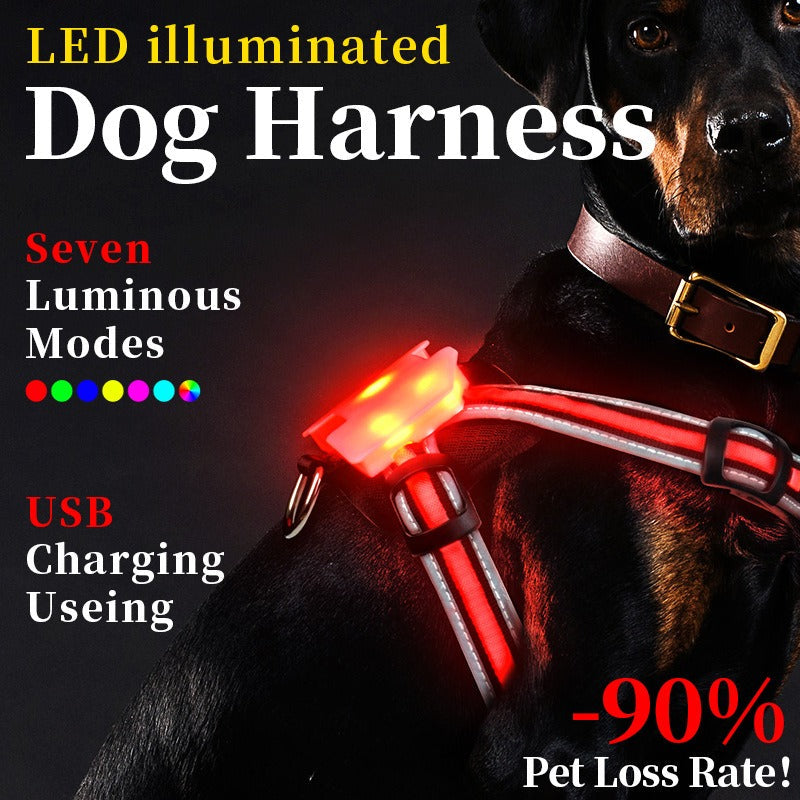 LED Dog Harness for Nighttime Walks, 7-Mode Glow