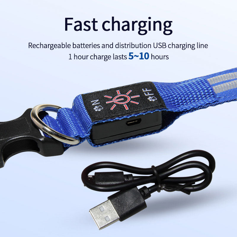 LED Dog Collar for Night Walks, USB Rechargeable Glow