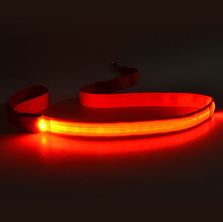 LED Light Dog Leash for Safer Night Walk Visibility