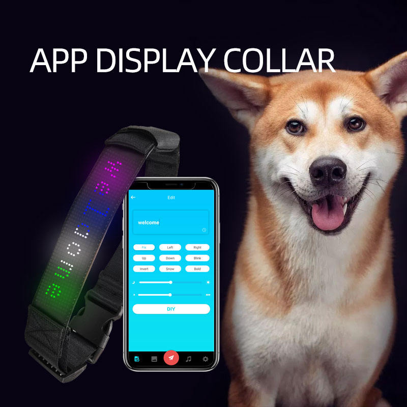 LED Dog Collar with Customizable Night Visibility