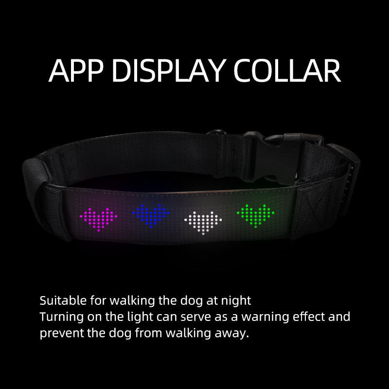 LED Dog Collar with Customizable Night Visibility