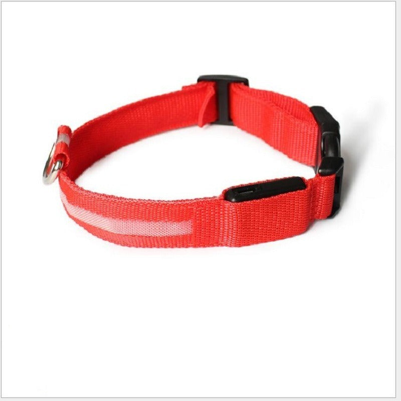 USB LED Dog Collar for Nighttime Visibility & Safety