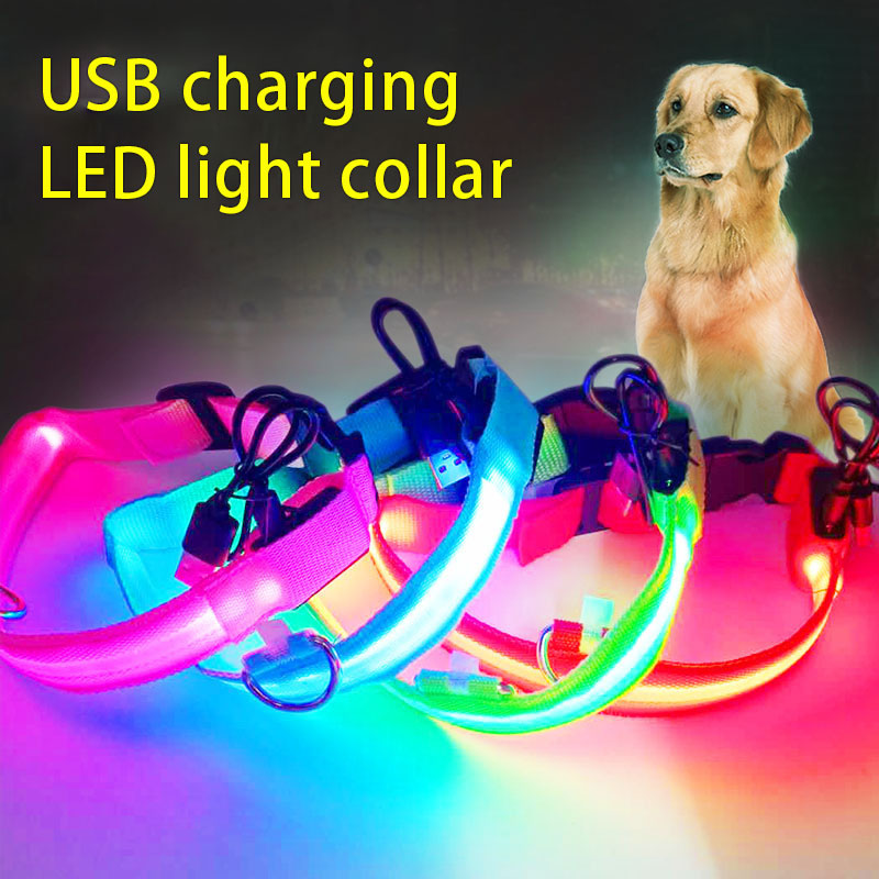 USB LED Dog Collar for Nighttime Visibility & Safety