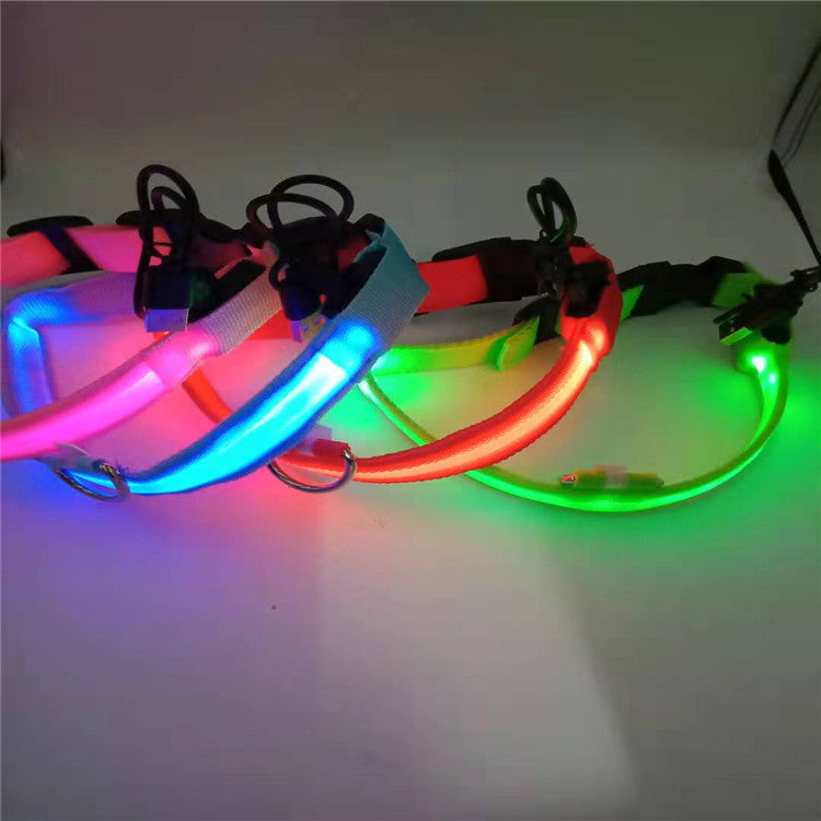 USB LED Dog Collar for Nighttime Visibility & Safety