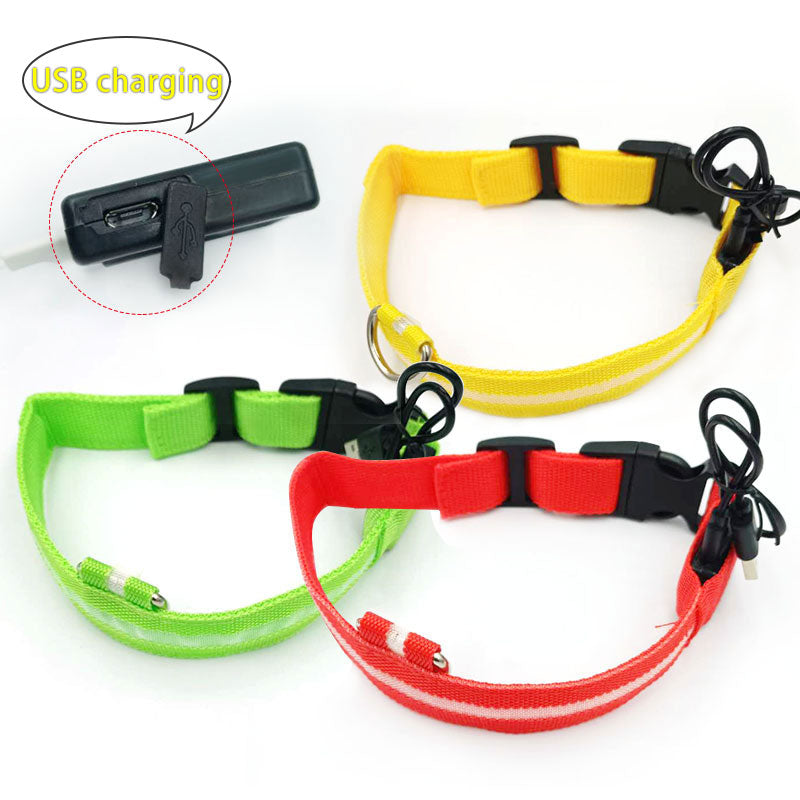 USB LED Dog Collar for Nighttime Visibility & Safety