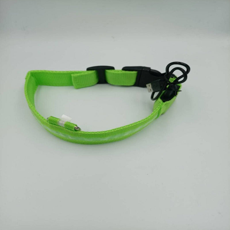 USB LED Dog Collar for Nighttime Visibility & Safety