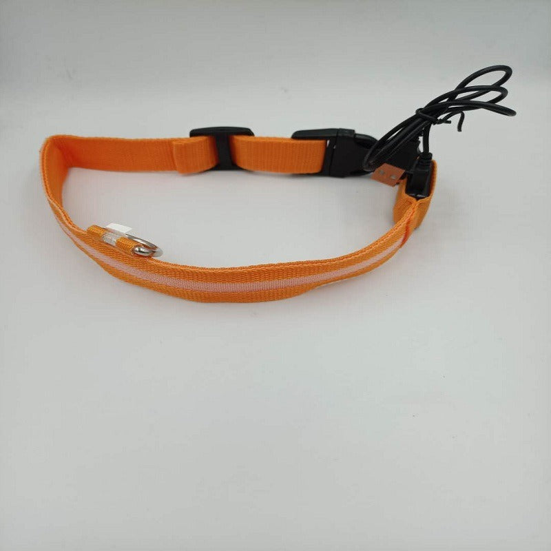 USB LED Dog Collar for Nighttime Visibility & Safety