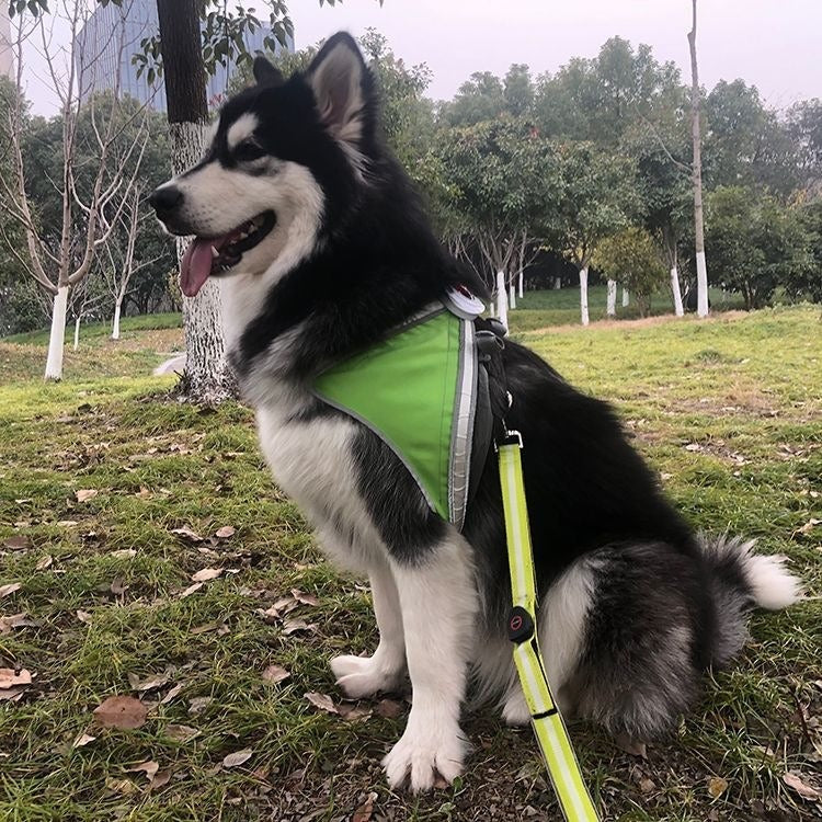 LED Pet Harness for Nighttime Visibility & Safety