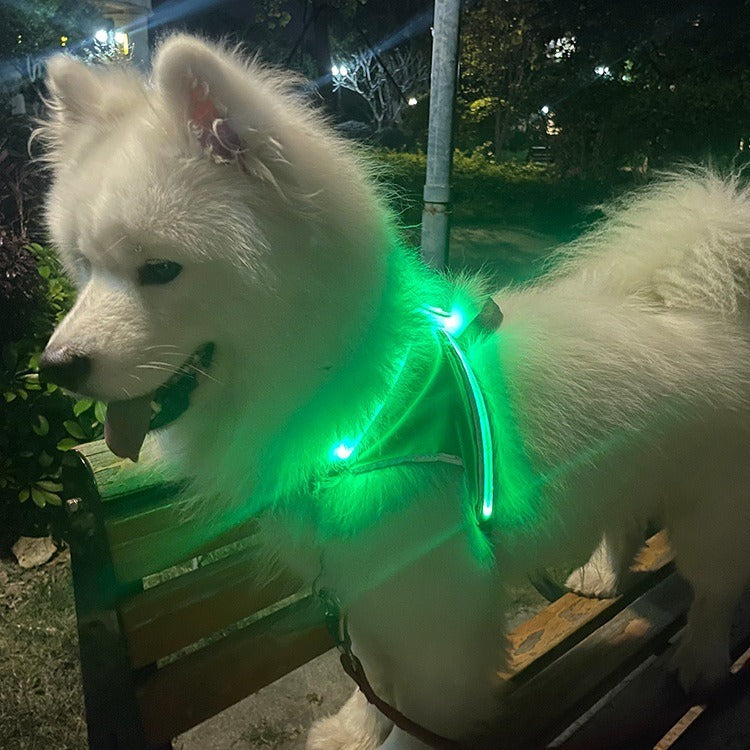 LED Pet Harness for Nighttime Visibility & Safety