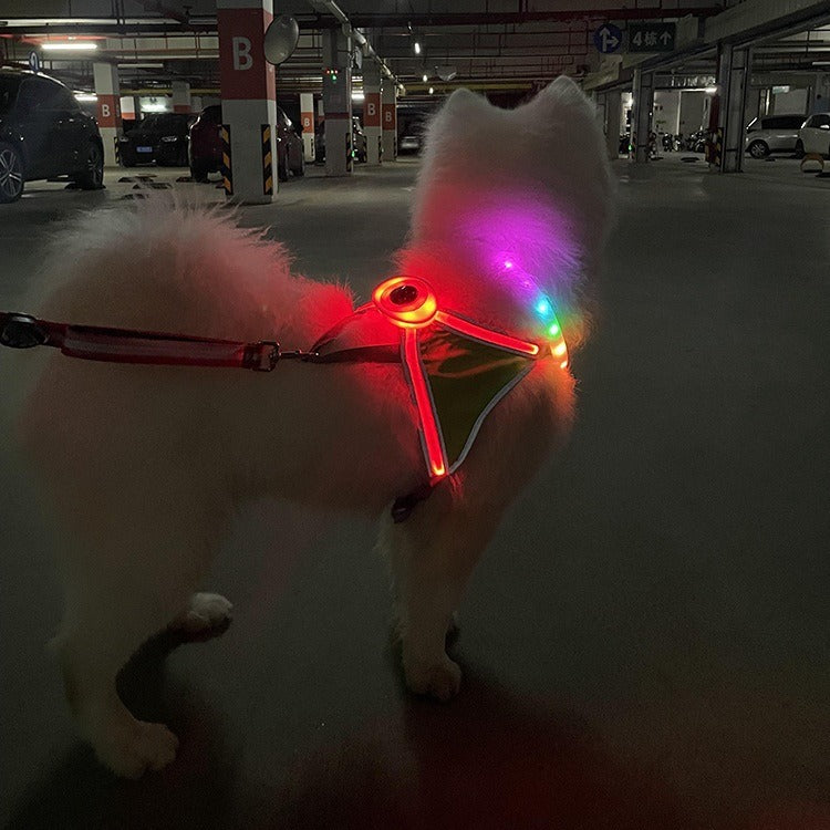 LED Pet Harness for Nighttime Visibility & Safety