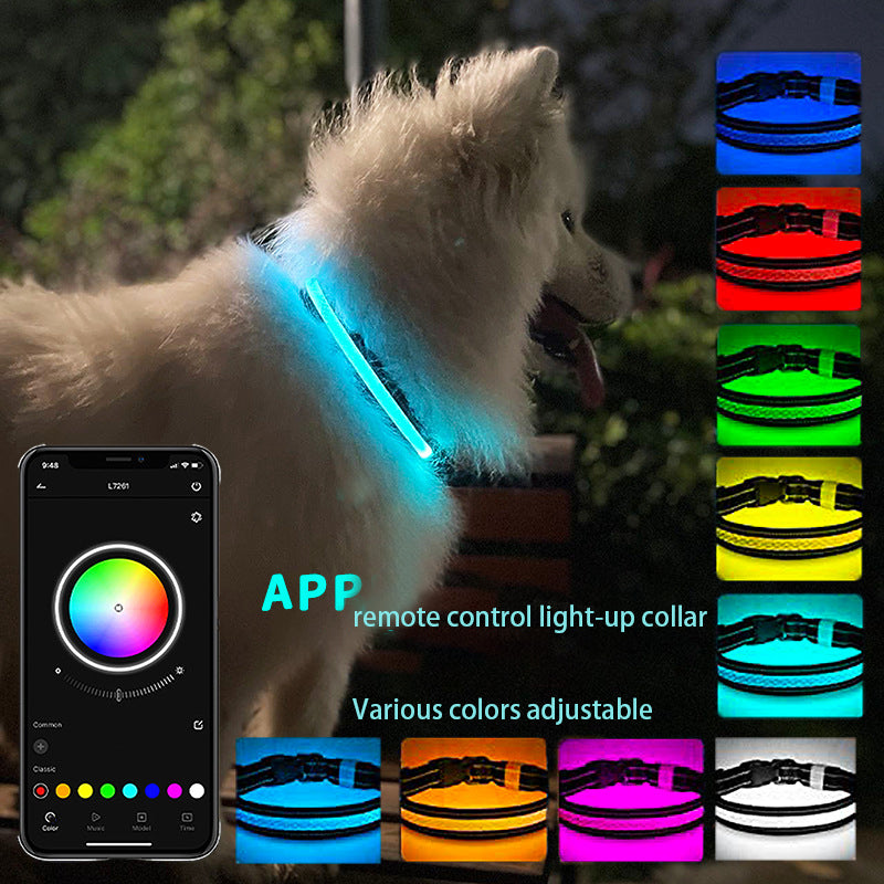 LED Pet Collar with App-Controlled Night Walk Visibility