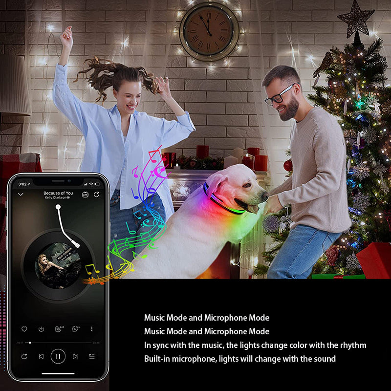LED Pet Collar with App-Controlled Night Walk Visibility