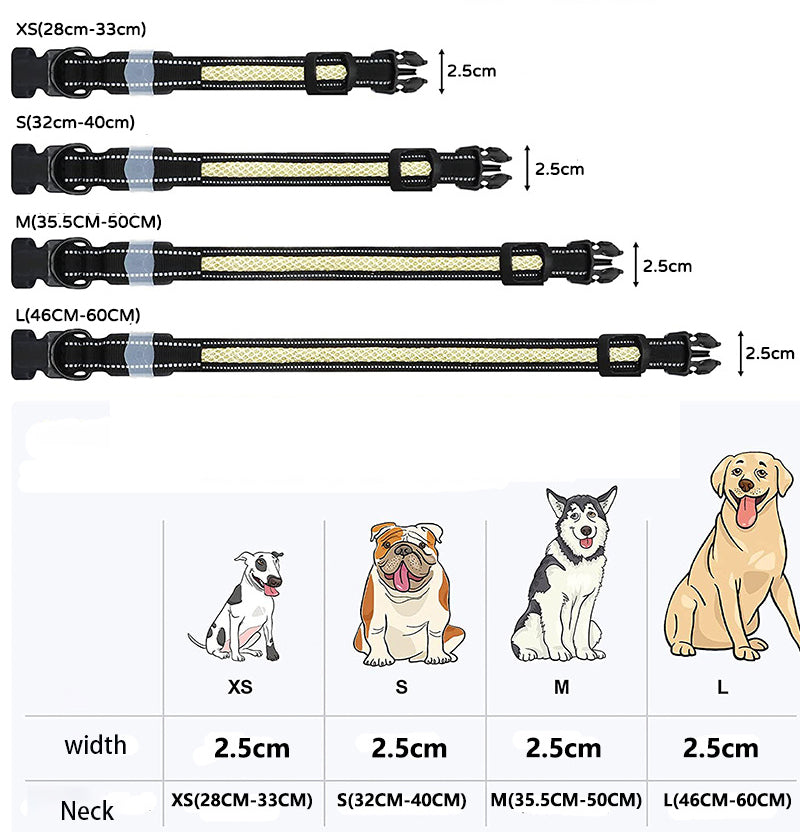 LED Pet Collar with App-Controlled Night Walk Visibility