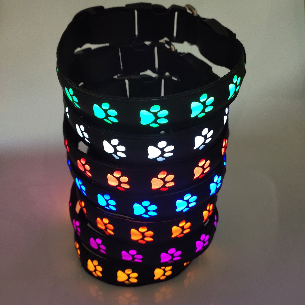 Rechargeable LED Dog Collar for Safer Night Walks