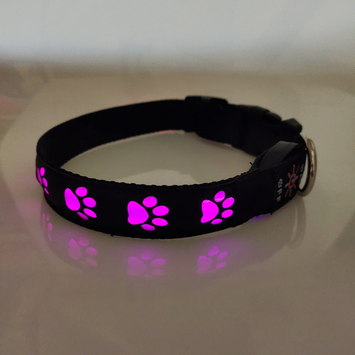 Rechargeable LED Dog Collar for Safer Night Walks