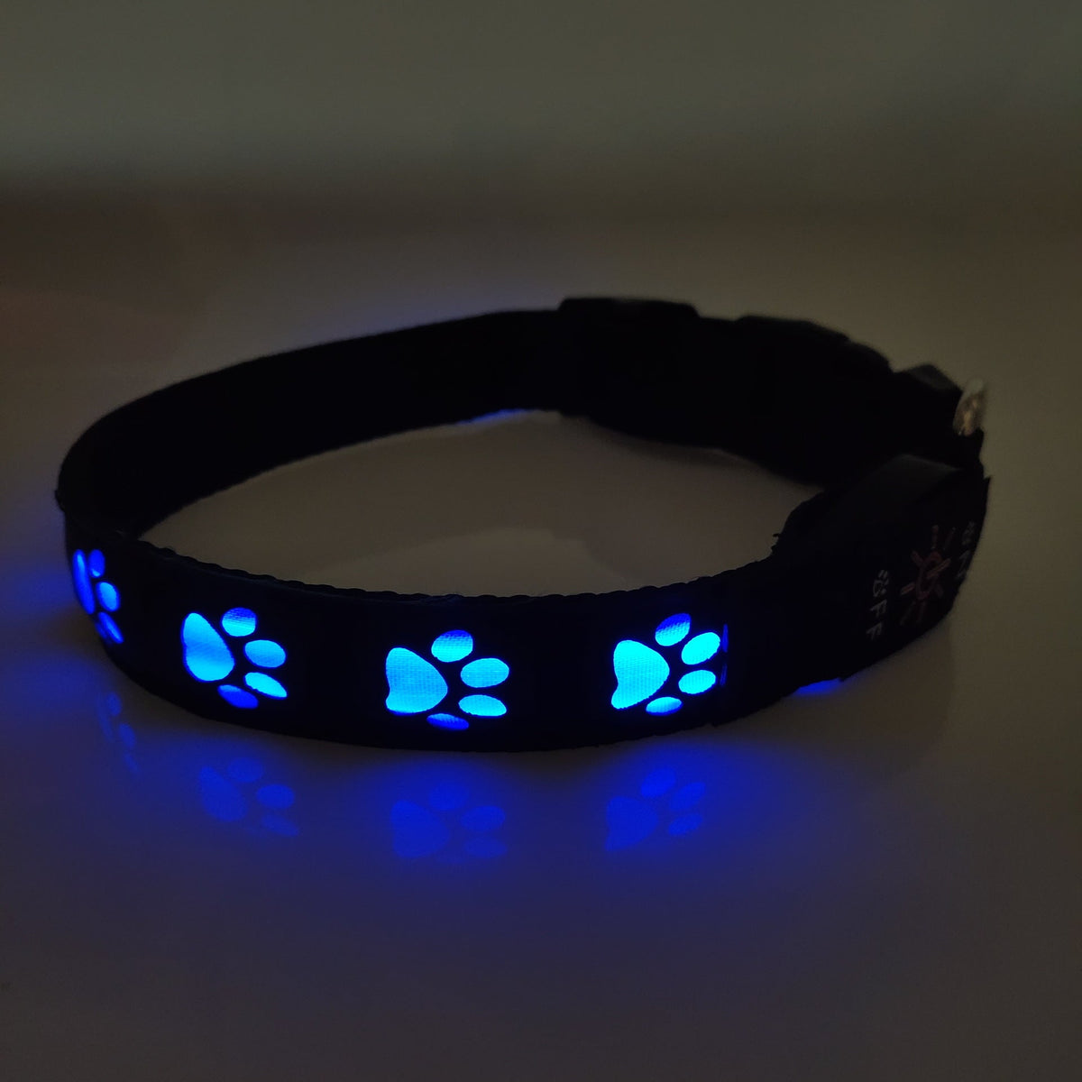 Rechargeable LED Dog Collar for Safer Night Walks