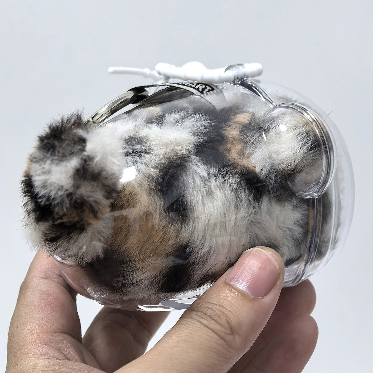 Transparent Collectible Doll Case for Visible Carrying