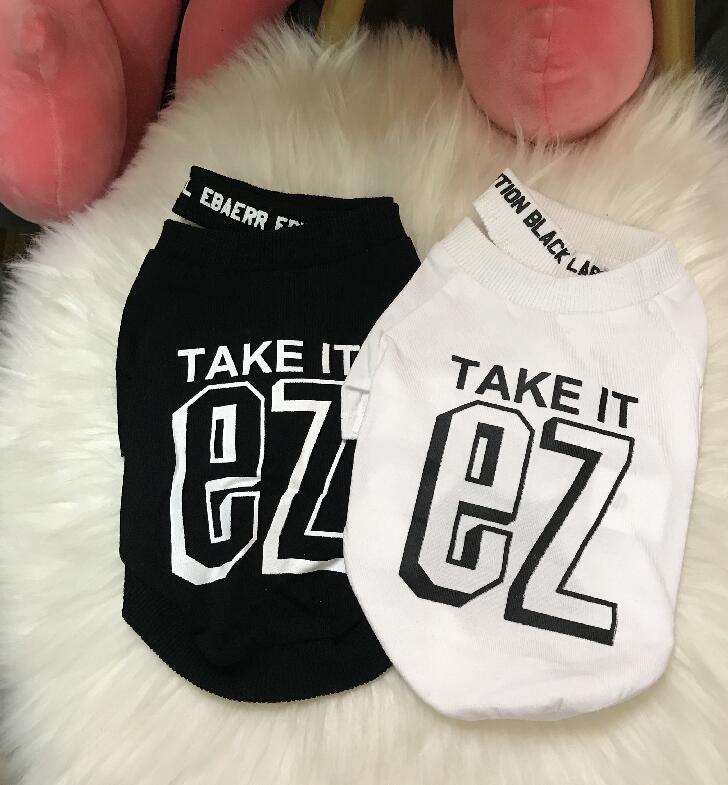 Small Dog Sweater With Bold Letter Print for Spring
