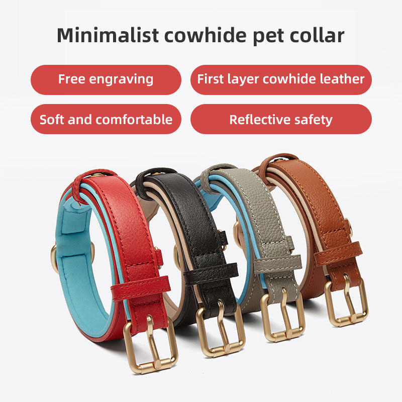 Personalized Leather Dog Collar With Reflective Safety