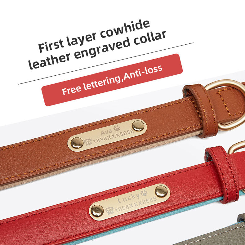 Personalized Leather Dog Collar With Reflective Safety