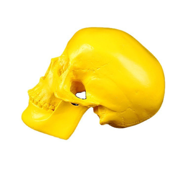 Yellow Resin Skull Ornament with Articulated Jaw
