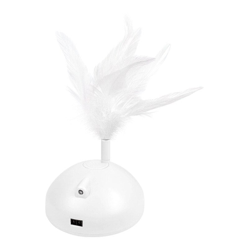 Automatic Interactive Cat Toy for Independent Play