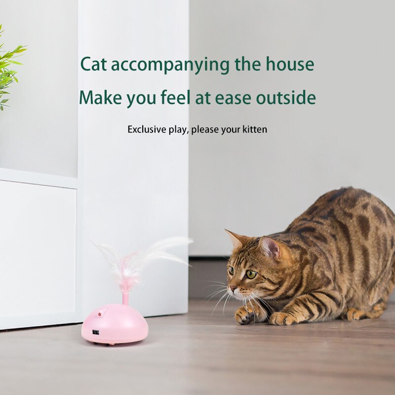 Automatic Interactive Cat Toy for Independent Play