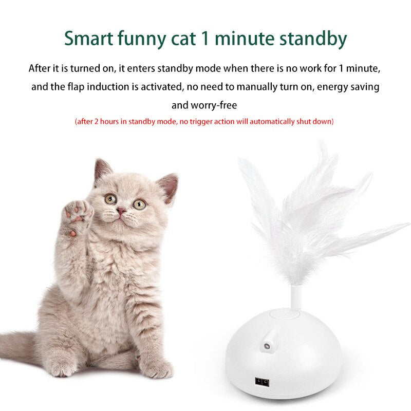 Automatic Interactive Cat Toy for Independent Play