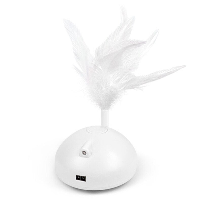 Automatic Interactive Cat Toy for Independent Play