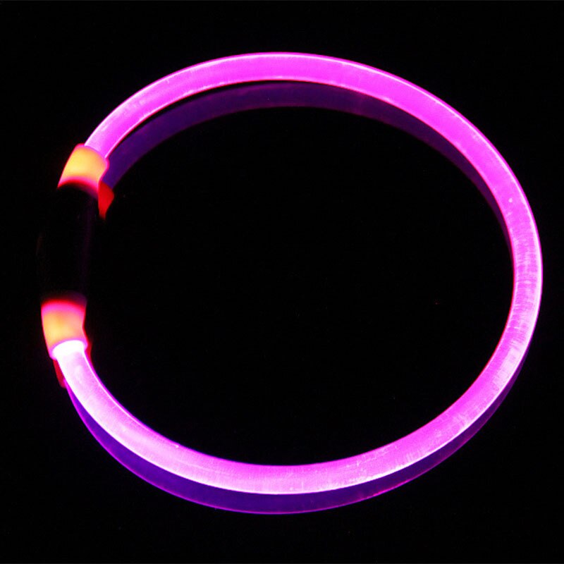 Luminous Dog Collar for Brighter-Looking Night Walks