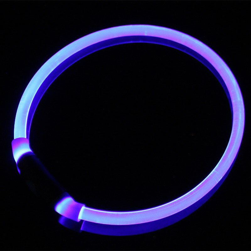 Luminous Dog Collar for Brighter-Looking Night Walks