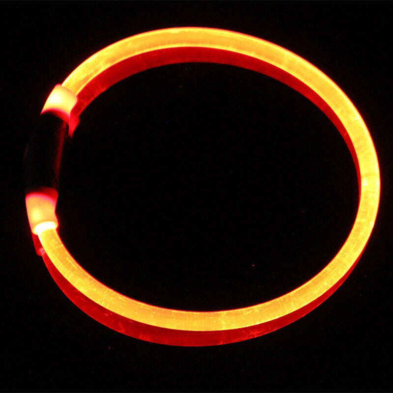 Luminous Dog Collar for Brighter-Looking Night Walks