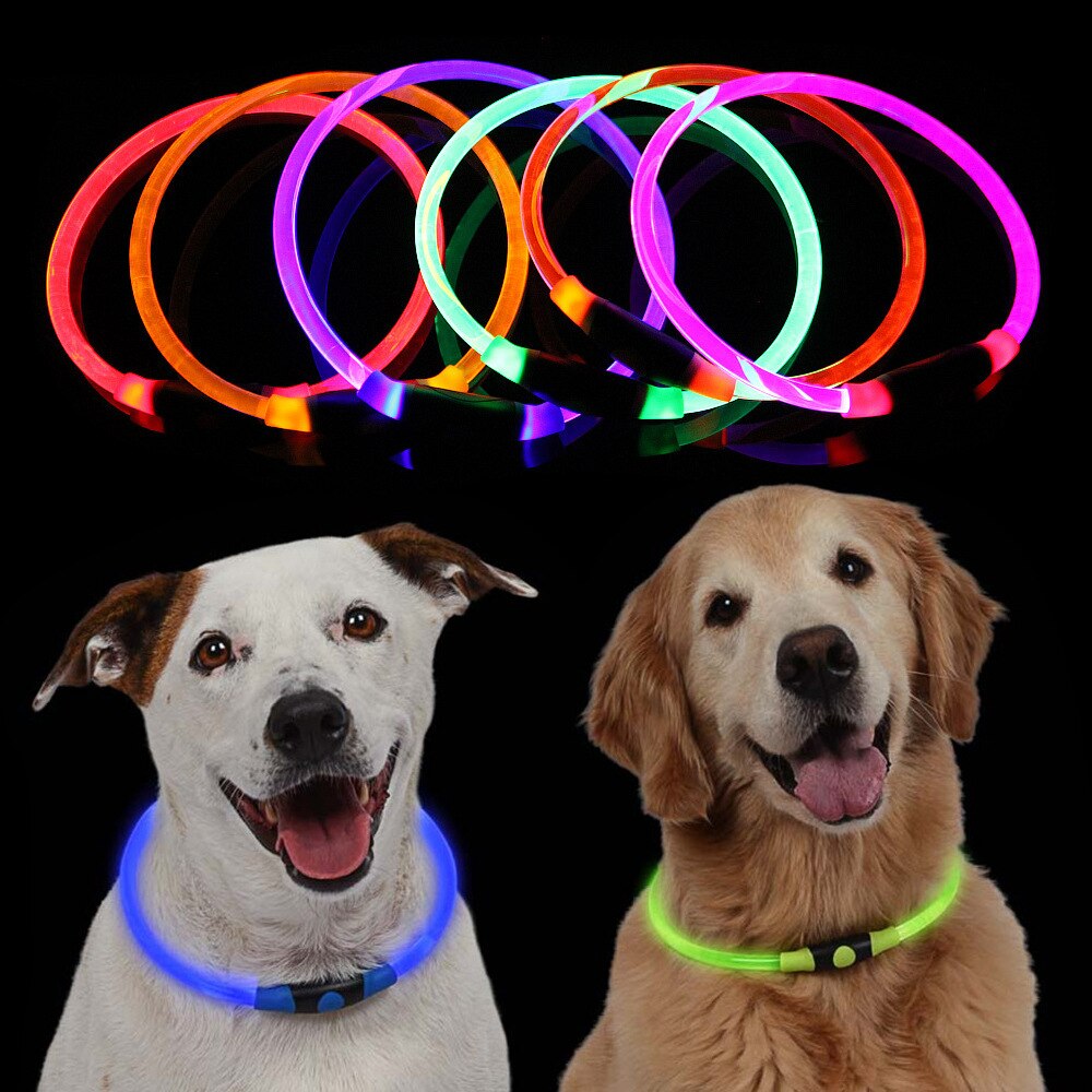 Luminous Dog Collar for Brighter-Looking Night Walks