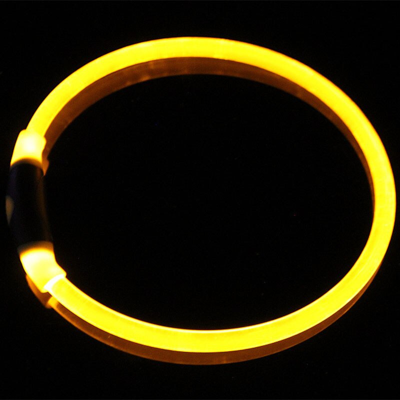 Luminous Dog Collar for Brighter-Looking Night Walks