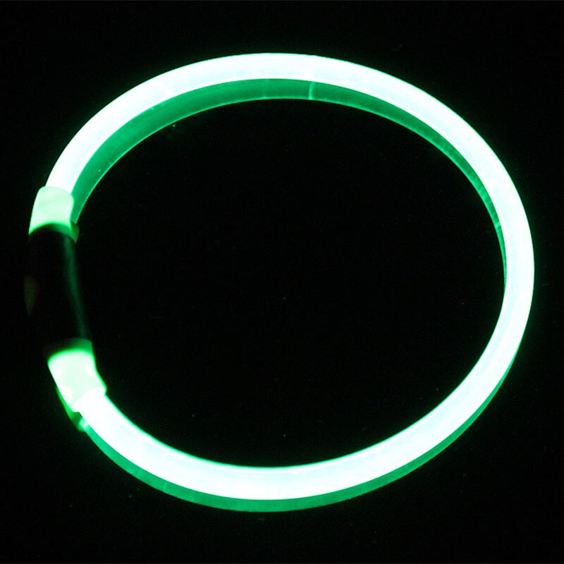 Luminous Dog Collar for Brighter-Looking Night Walks