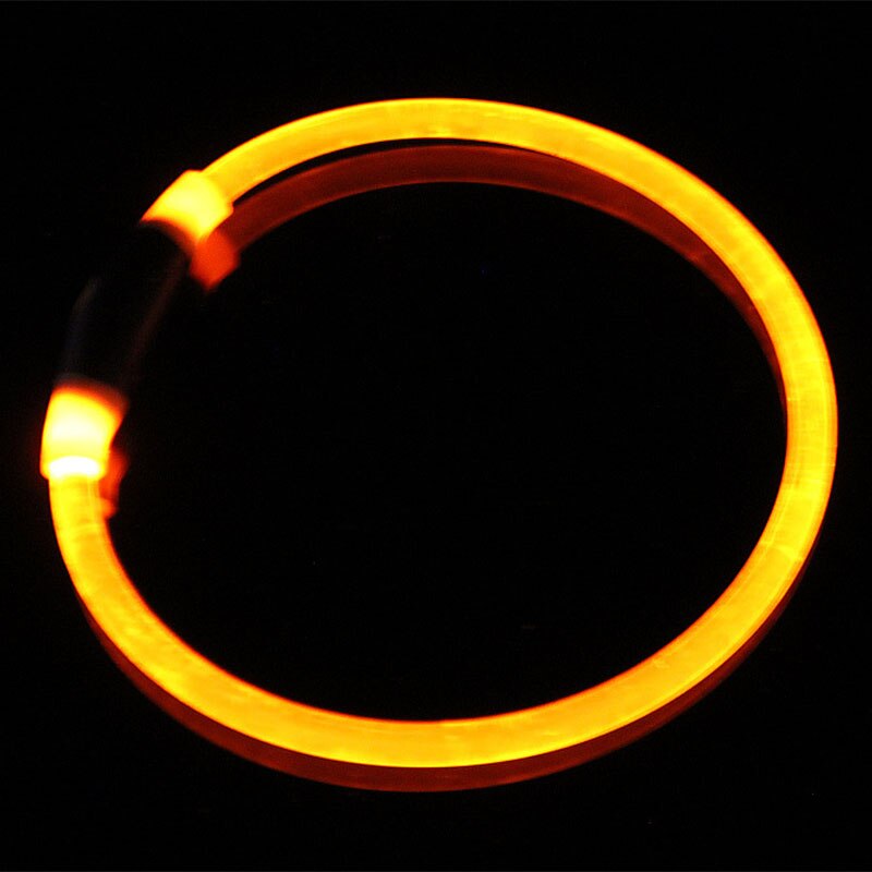 Luminous Dog Collar for Brighter-Looking Night Walks