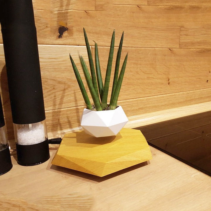 Magnetic Levitation Planter for Modern Desk Decor Display