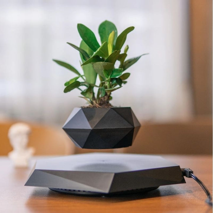 Magnetic Levitation Planter for Modern Desk Decor Display