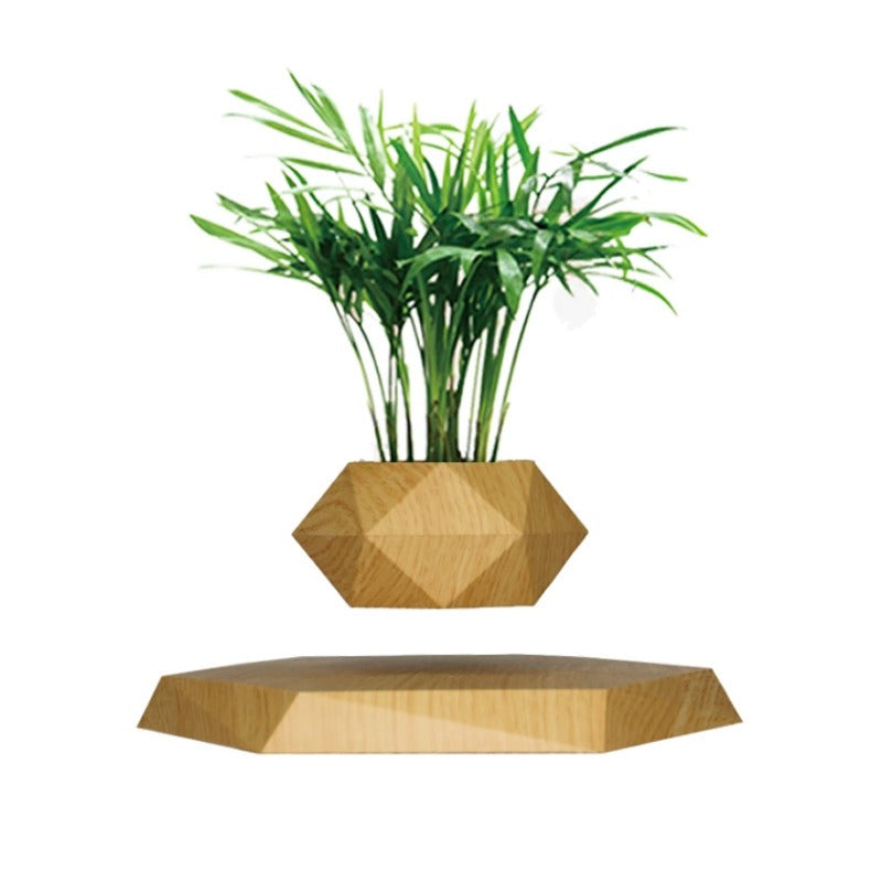 Magnetic Levitation Planter for Modern Desk Decor Display