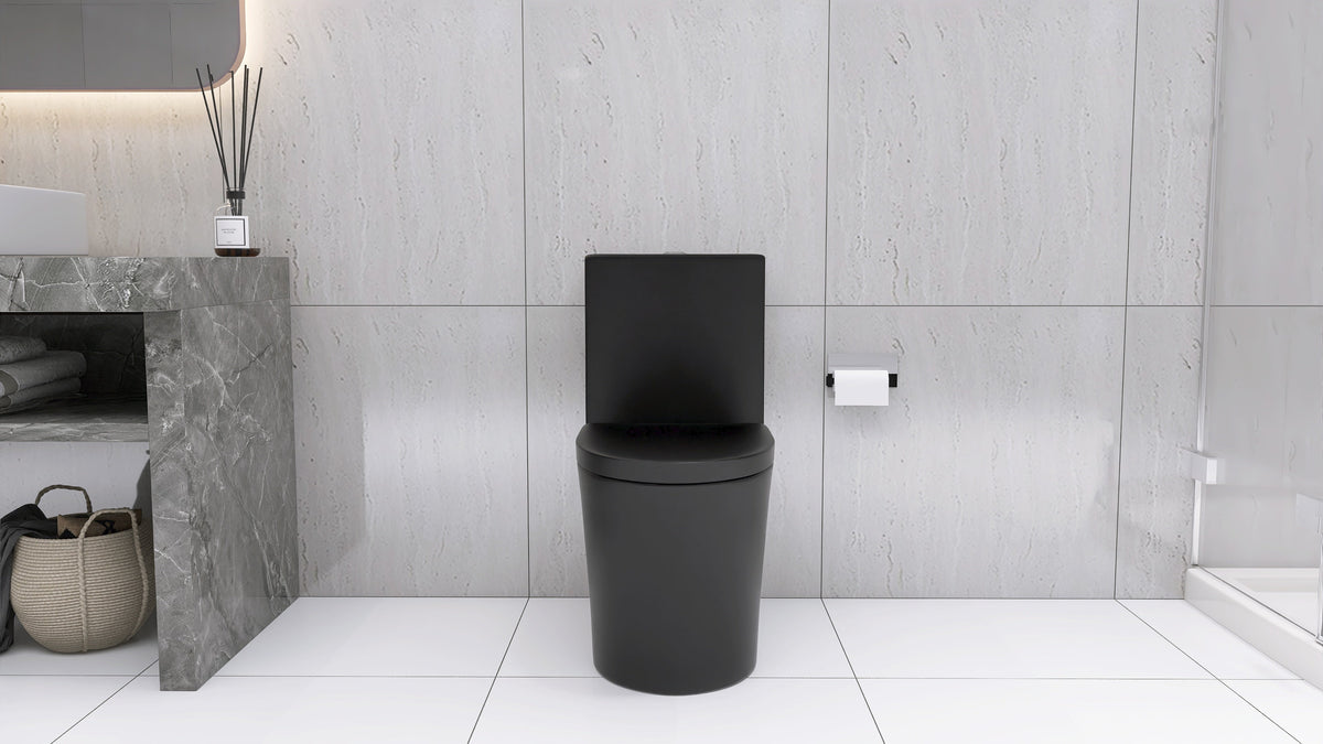Matte Black Dual Flush Toilet With Water-Saving Design
