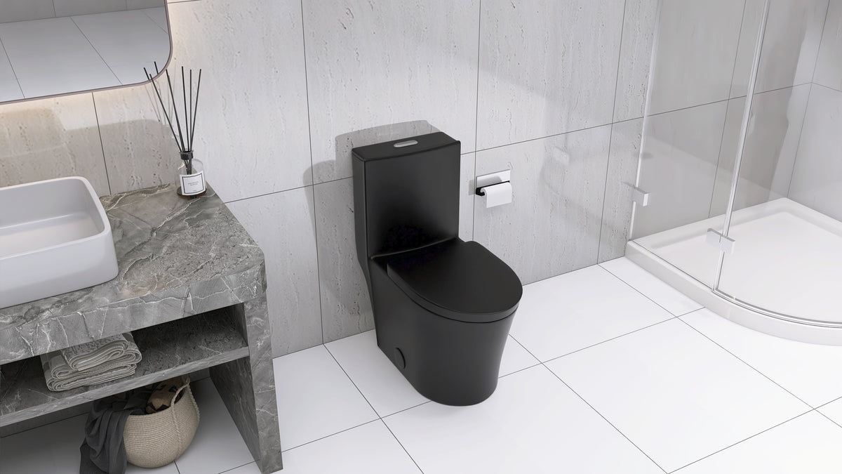 Matte Black Dual Flush Toilet With Water-Saving Design