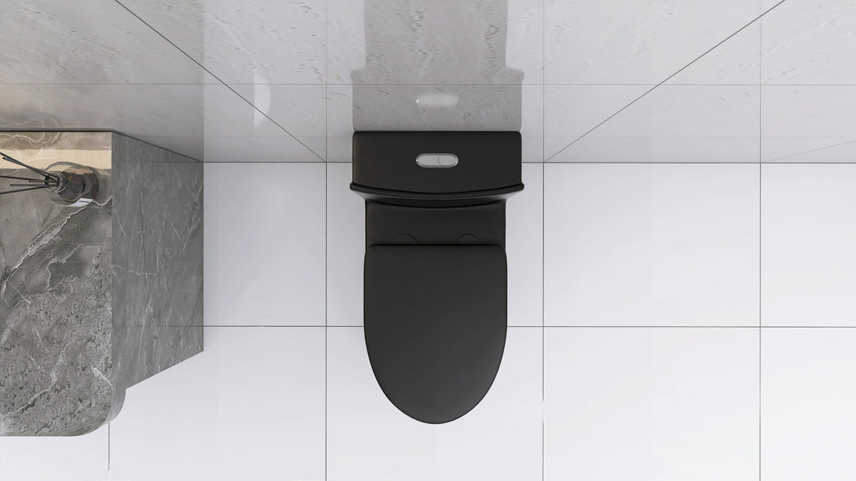 Matte Black Dual Flush Toilet With Water-Saving Design