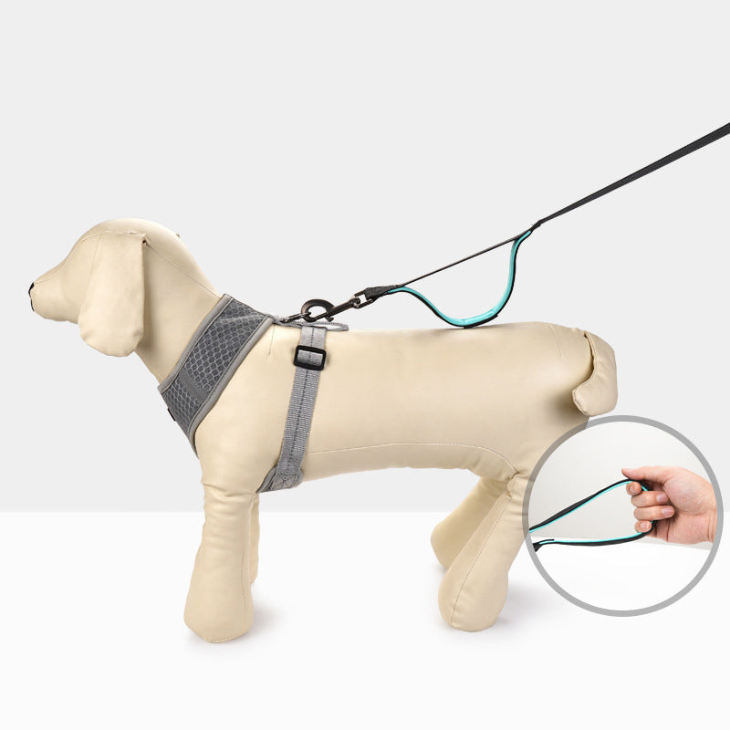 Reflective Dog Leash for Large Dogs | Double Handle