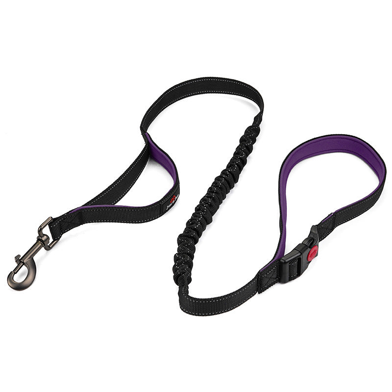Reflective Dog Leash for Large Dogs | Double Handle