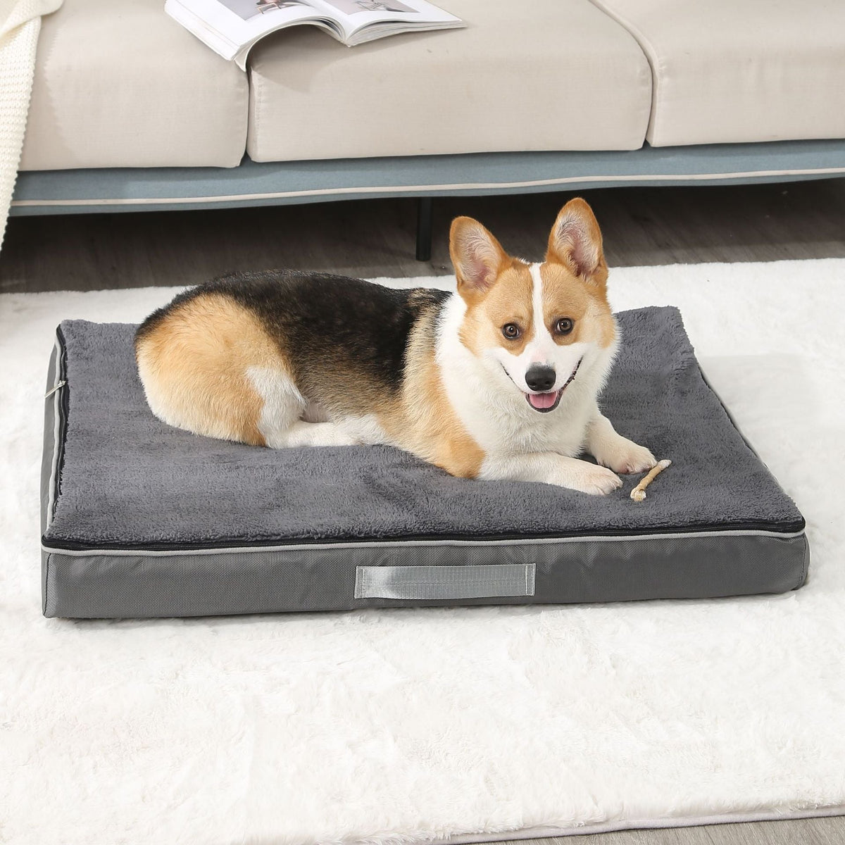 Memory Sponge Pet Mat for Cozy Dog & Cat Resting Space