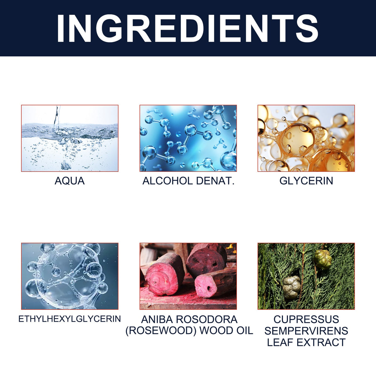 Men's Cologne for a Fresh, Confident Everyday Presence
