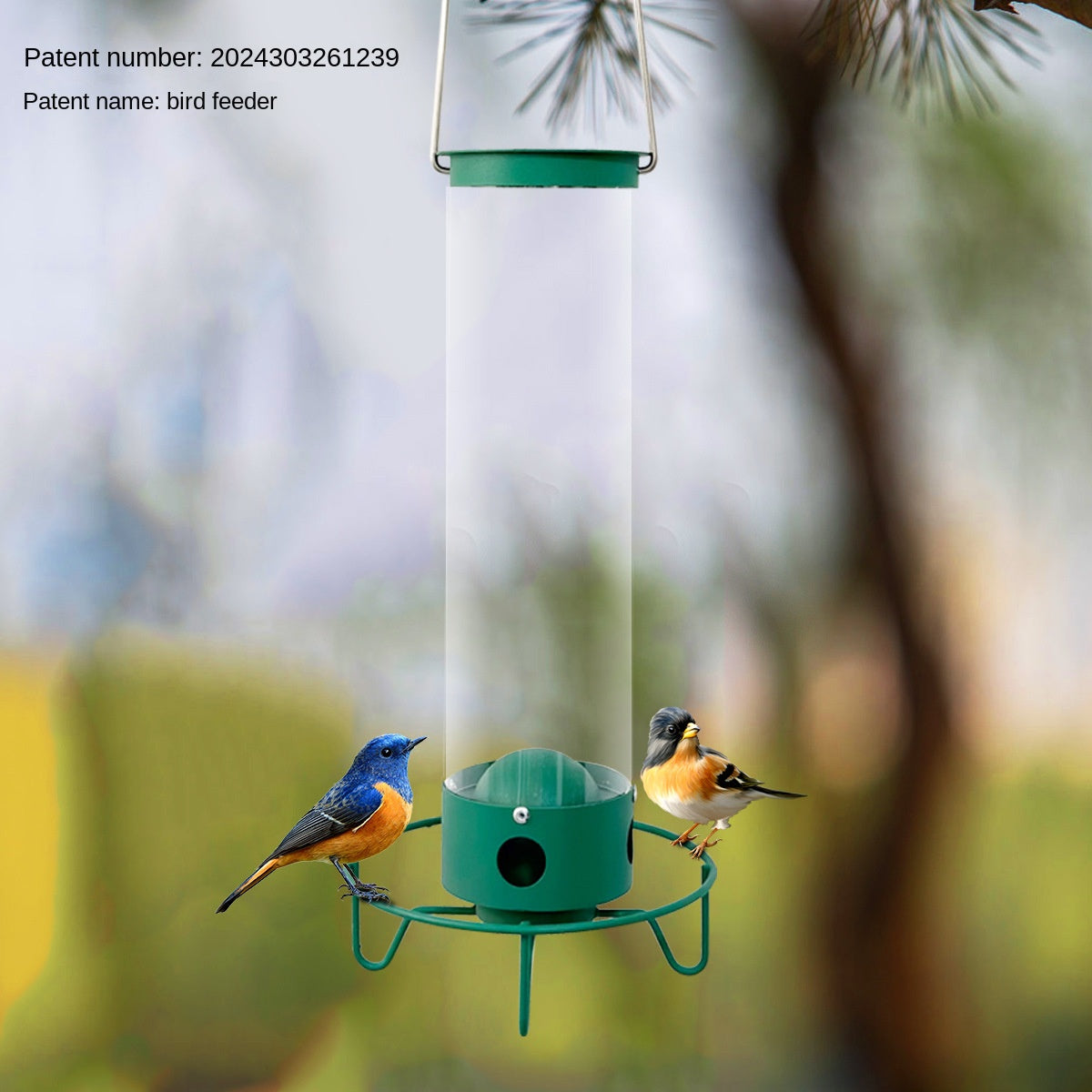 Hanging Metal Bird Feeder for Easy Seed Level Checks